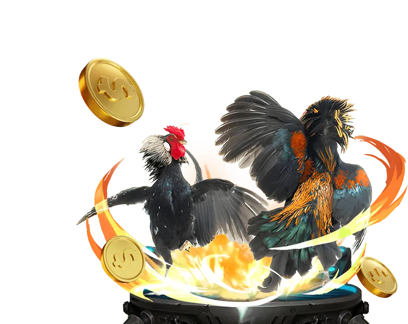 Đá gà Thomo trực tiếp tại G666 Win